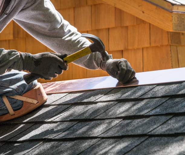 Best Roof Gutter Cleaning  in Veazie, ME